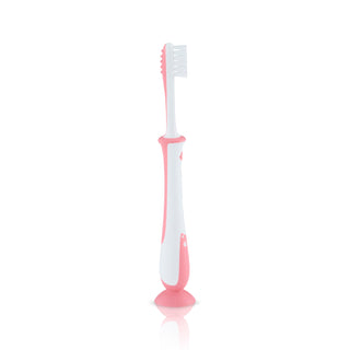 Pigeon Training Toothbrush Lesson 4 (Pink/Mint)