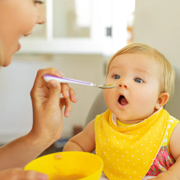 Munchkin 4PK Multi Bowls