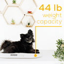 Beurer BY 90  baby Scale-2