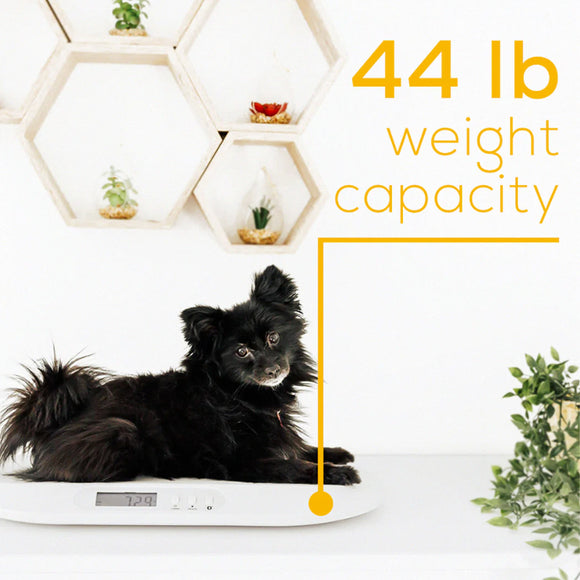 Beurer BY 90  baby Scale