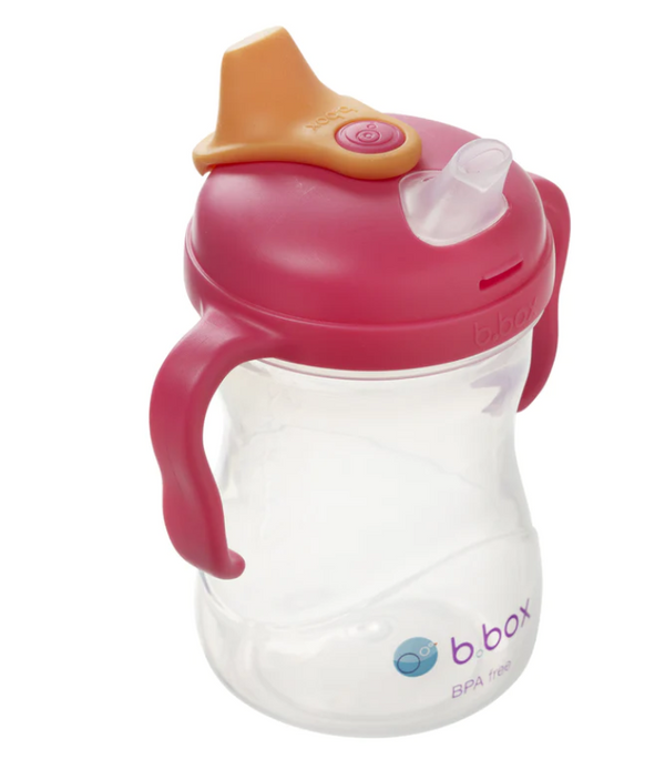 b.box Spout Cup 240ml (4M +)