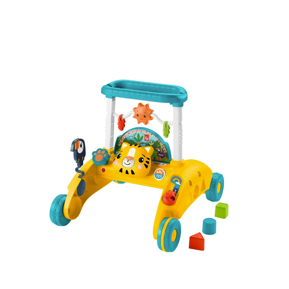 Fisher Price 2 Sided Steady Speed Walker