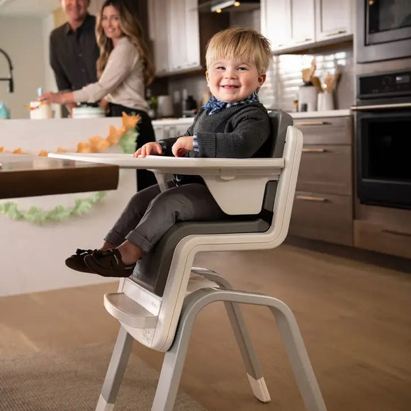 Nuna Zaaz High Chair