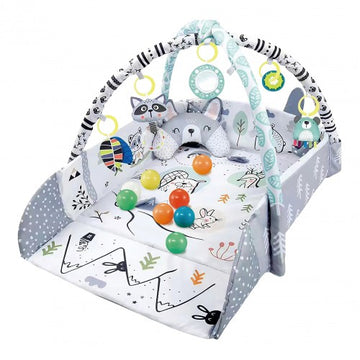 Lucky Baby 4 In 1 Happy Space Playgym