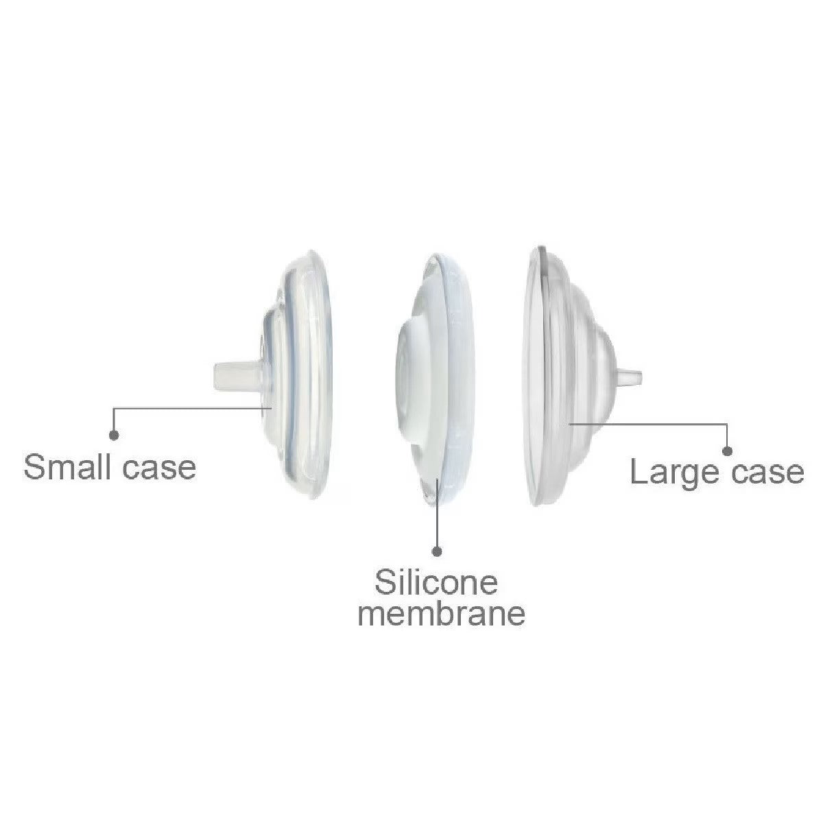 Spectra Backflow Protector Membrane - 1 Piece