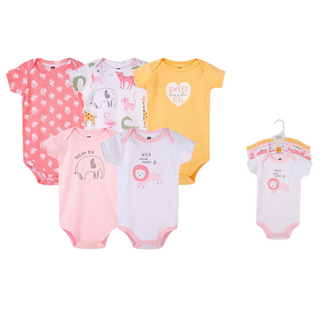 Buy pink-lion Hudson Baby 5pcs Bodysuit Short Sleeve Set (0-3m/3-6m/6-9m/9-12m)