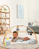 Skip Hop Discoverosity Deluxe Activity Gym-13