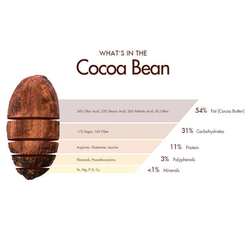 Palmer's Cocoa Butter Formula Collection - Hand & Body Care - 0