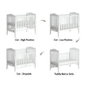 [Free Installation]  Australia Boori Palm Covertible Cot Bed