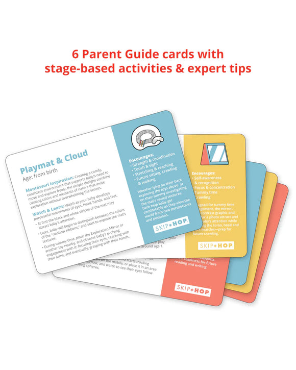 Skip Hop Discoverosity Deluxe Activity Gym