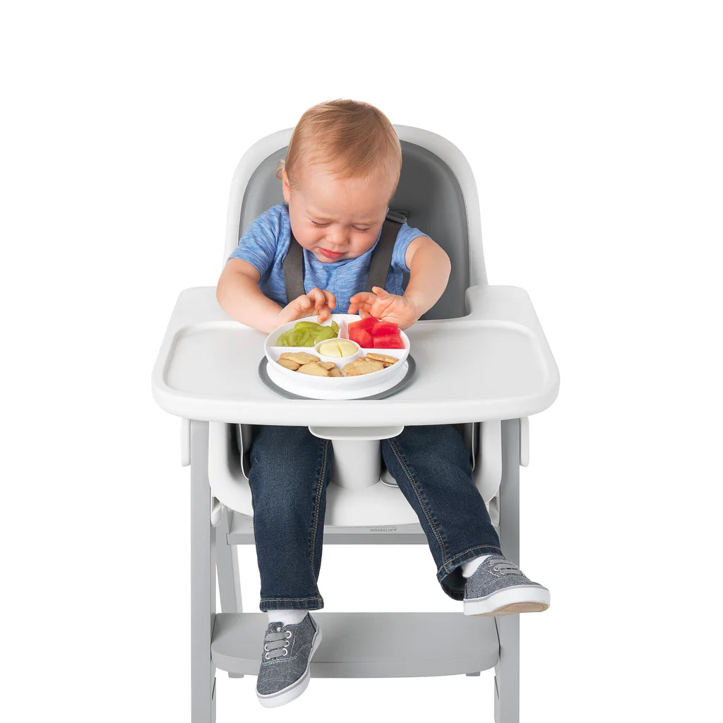 OXO Tot Stick & Stay Divided Plate