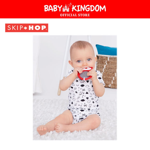 Skip Hop Explore & More Stay Cool Teether