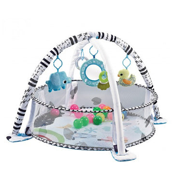 Lucky Baby  2 In 1 Ocean Activity Playgym - 0