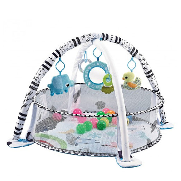 Lucky Baby  2 In 1 Ocean Activity Playgym
