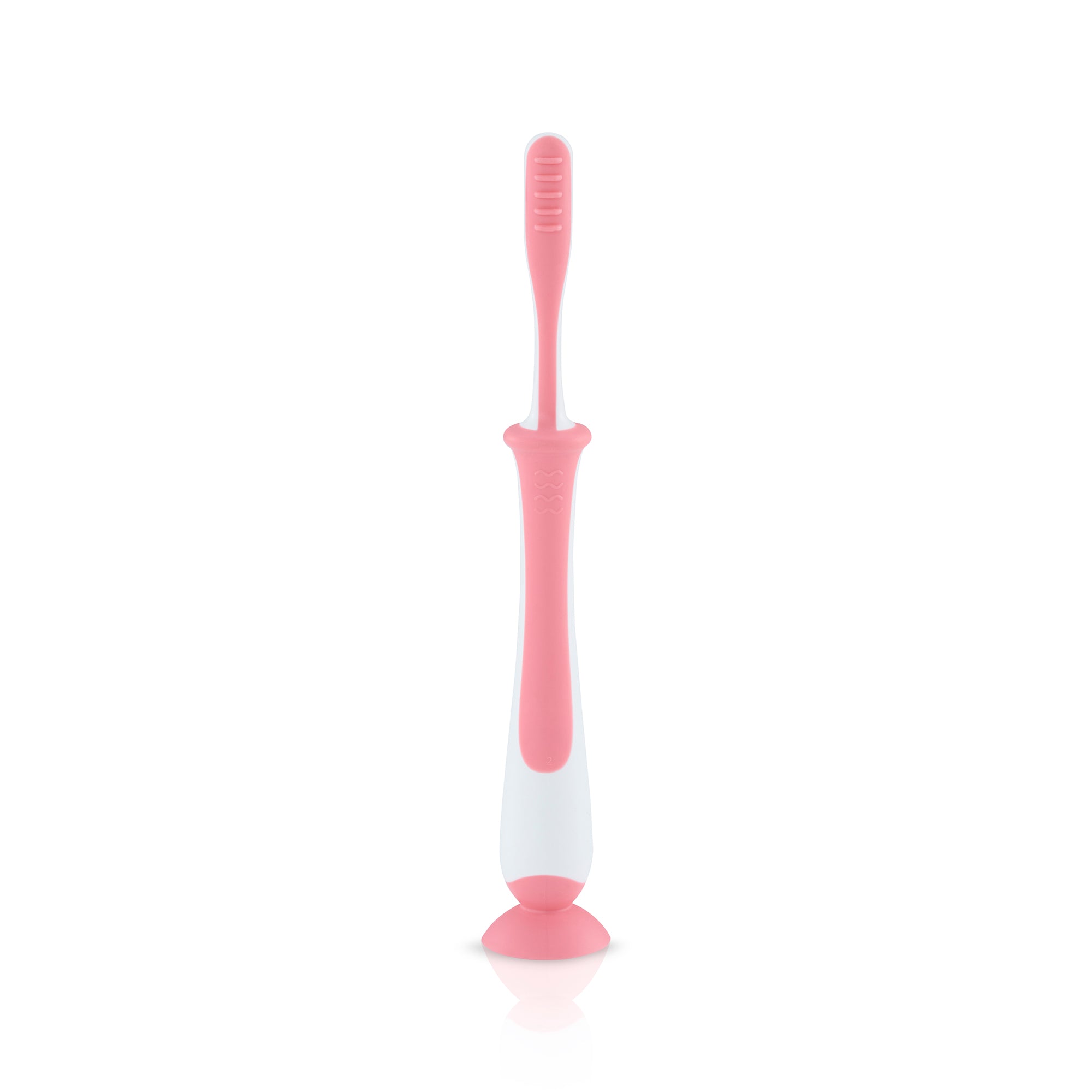 Pigeon Training Toothbrush Lesson 4 (Pink/Mint)