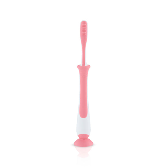 Pigeon Training Toothbrush Lesson 4 (Pink/Mint)