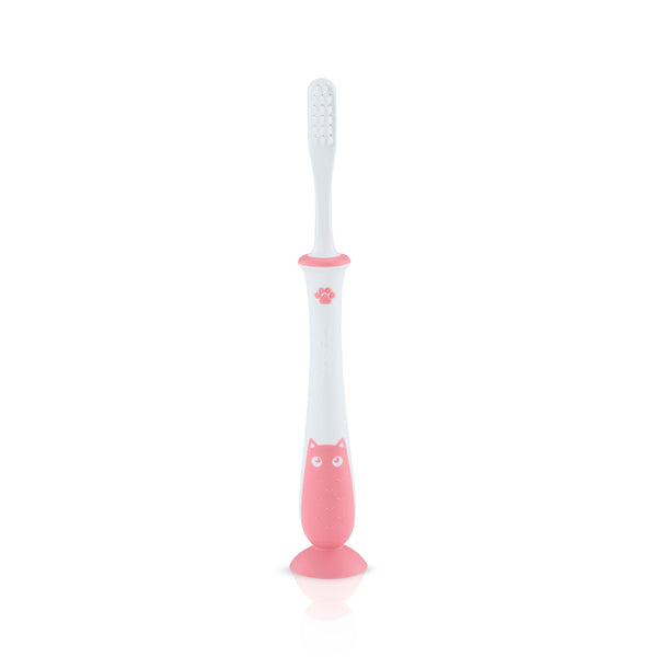Pigeon Training Toothbrush Lesson 4 (Pink/Mint)