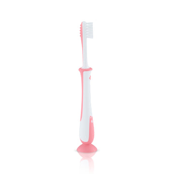 Pigeon Training Toothbrush Lesson 4 (Pink/Mint)