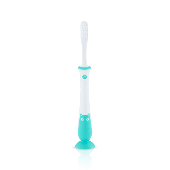 Pigeon Training Toothbrush Lesson 4 (Pink/Mint)