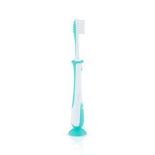 Buy mint Pigeon Training Toothbrush Lesson 4 (Pink/Mint)