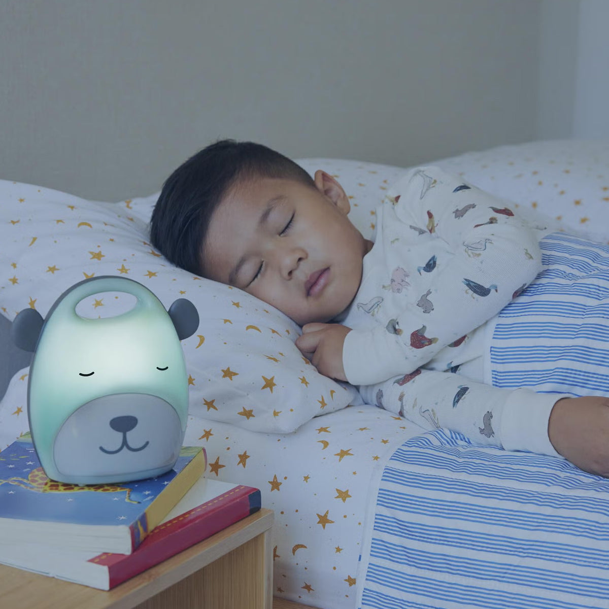 Skip Hop Beary Cute Take-Along Nightlight