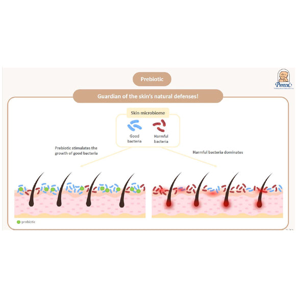 Pureen Baby Head To Toe Wash Prebiotic 700ml