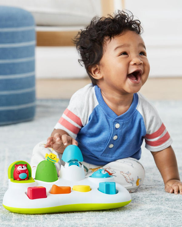 Skip Hop Explore & More Pop-Up Toy