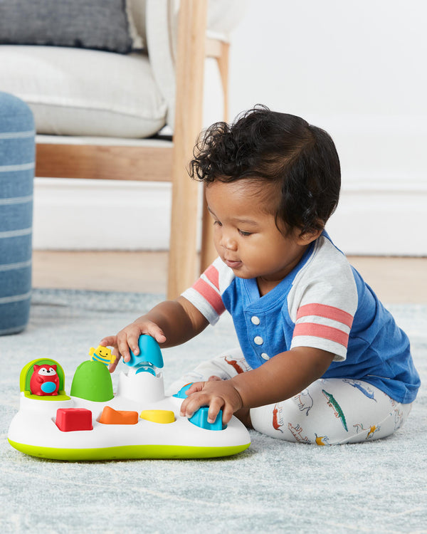 Skip Hop Explore & More Pop-Up Toy