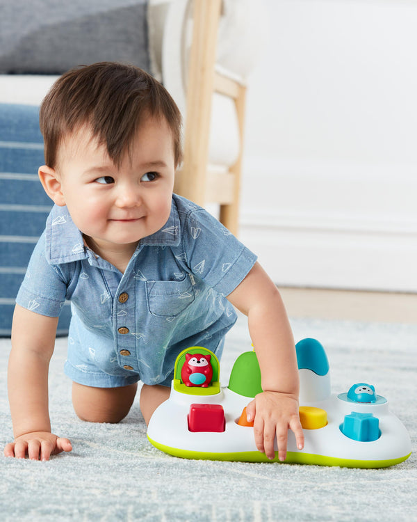 Skip Hop Explore & More Pop-Up Toy