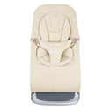 Ergobaby Evolve 3 in 1 Bouncer