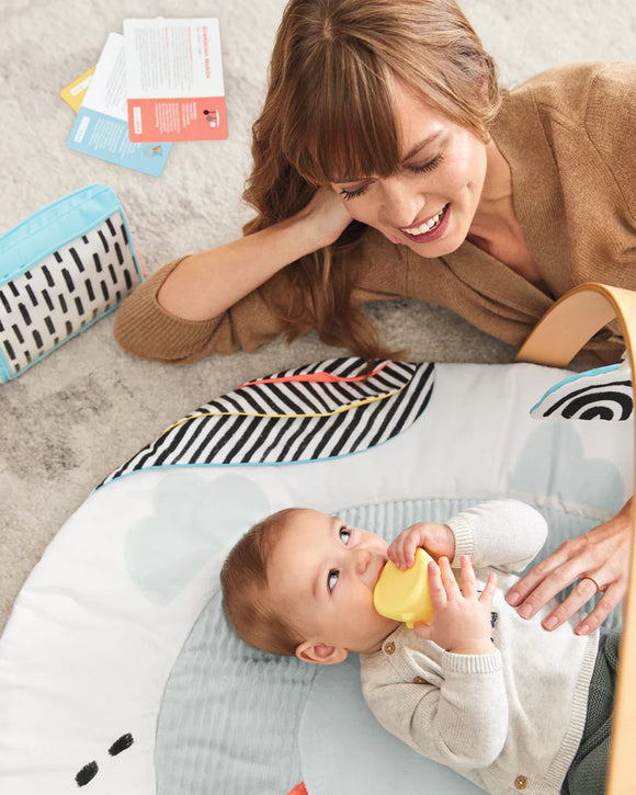 Skip Hop Discoverosity Deluxe Activity Gym