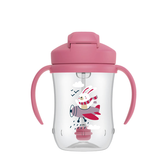 Dr Brown's Baby First Straw Cup 270ml