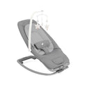 Joie Dreamer Rocker and Bouncer (1 Year Warranty)