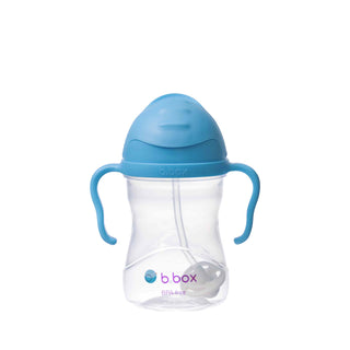 Buy blueberry b.box Sippy cup 240ml