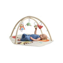 Skip Hop Geometric Wonders Activity Gym-2