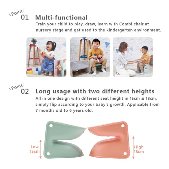 Combi Toddler Chair (7M-6 Years Old) (Promo)
