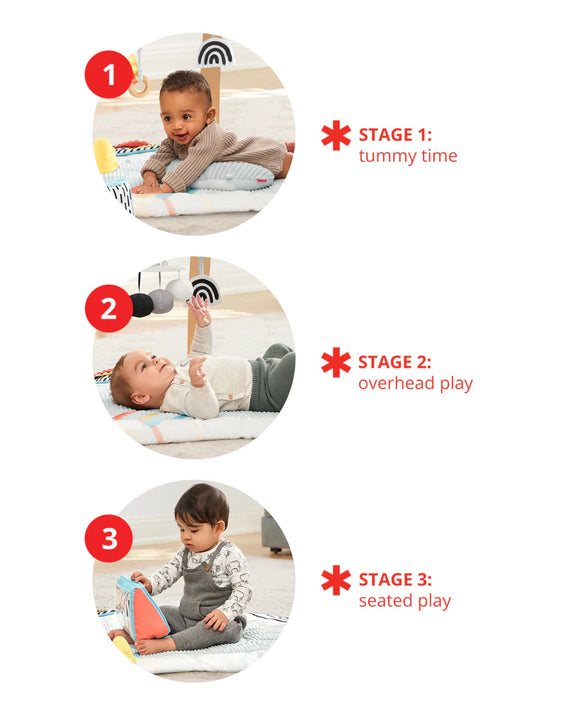 Skip Hop Discoverosity Deluxe Activity Gym