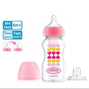 Dr Brown's PP Wide-Neck Options+ Transition Bottle W/ Sippy Spout 270ML-2
