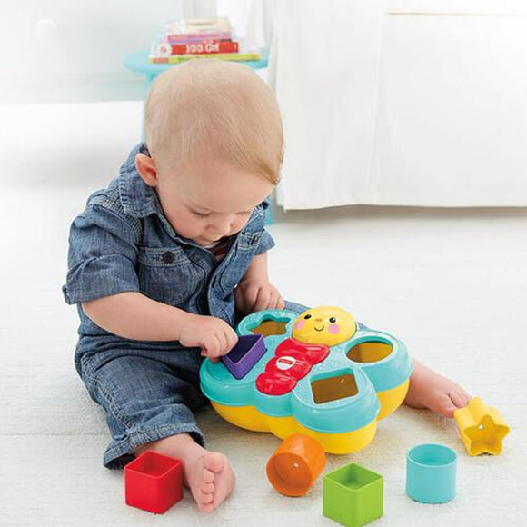 Fisher Price Butterfly Shape Sorter