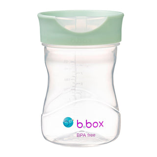 Buy sage b.box Training Cup 240ml