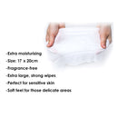 NUK Anti-bacterial Wet Wipes 20pcs (Travel Size) (Promo)-2