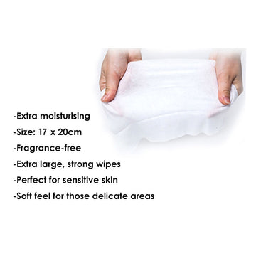 NUK Anti-bacterial Wet Wipes 20pcs (Travel Size) (Promo) - 0