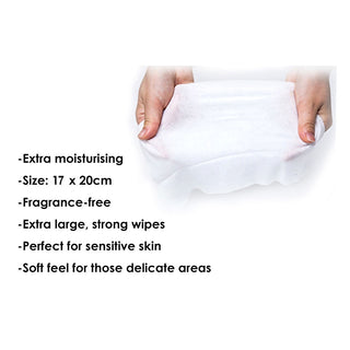 NUK Anti-bacterial Wet Wipes 20pcs (Travel Size) (Promo)