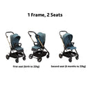 Chicco One4Ever Stroller-3