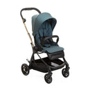 Chicco One4Ever Stroller-1