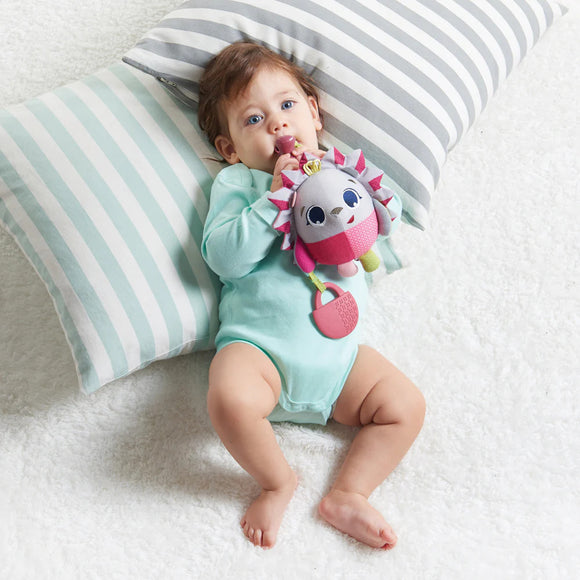 Tiny Love Take Along Toys