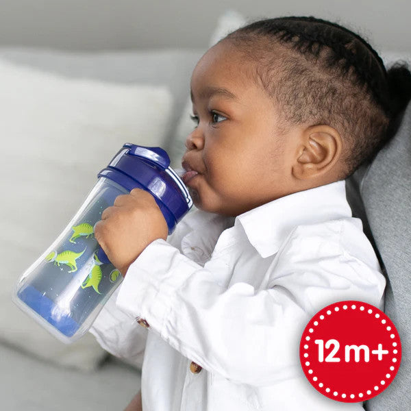 Dr Brown's Insulated Straw Cup  300ml (Blue)