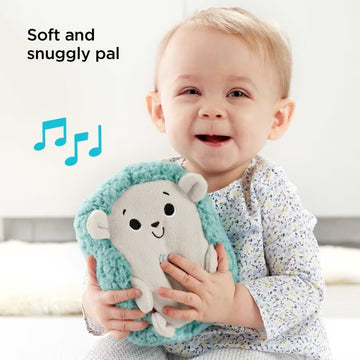 Fisher-Price Calming Vibes Hedgehog Soother (0 months+)
