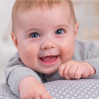 Theraline The Dodo Nursing Pillow