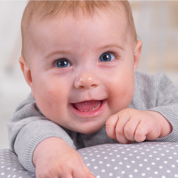 Theraline The Dodo Nursing Pillow